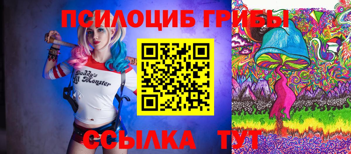 Галлюциногенные грибы прущие грибы Асино